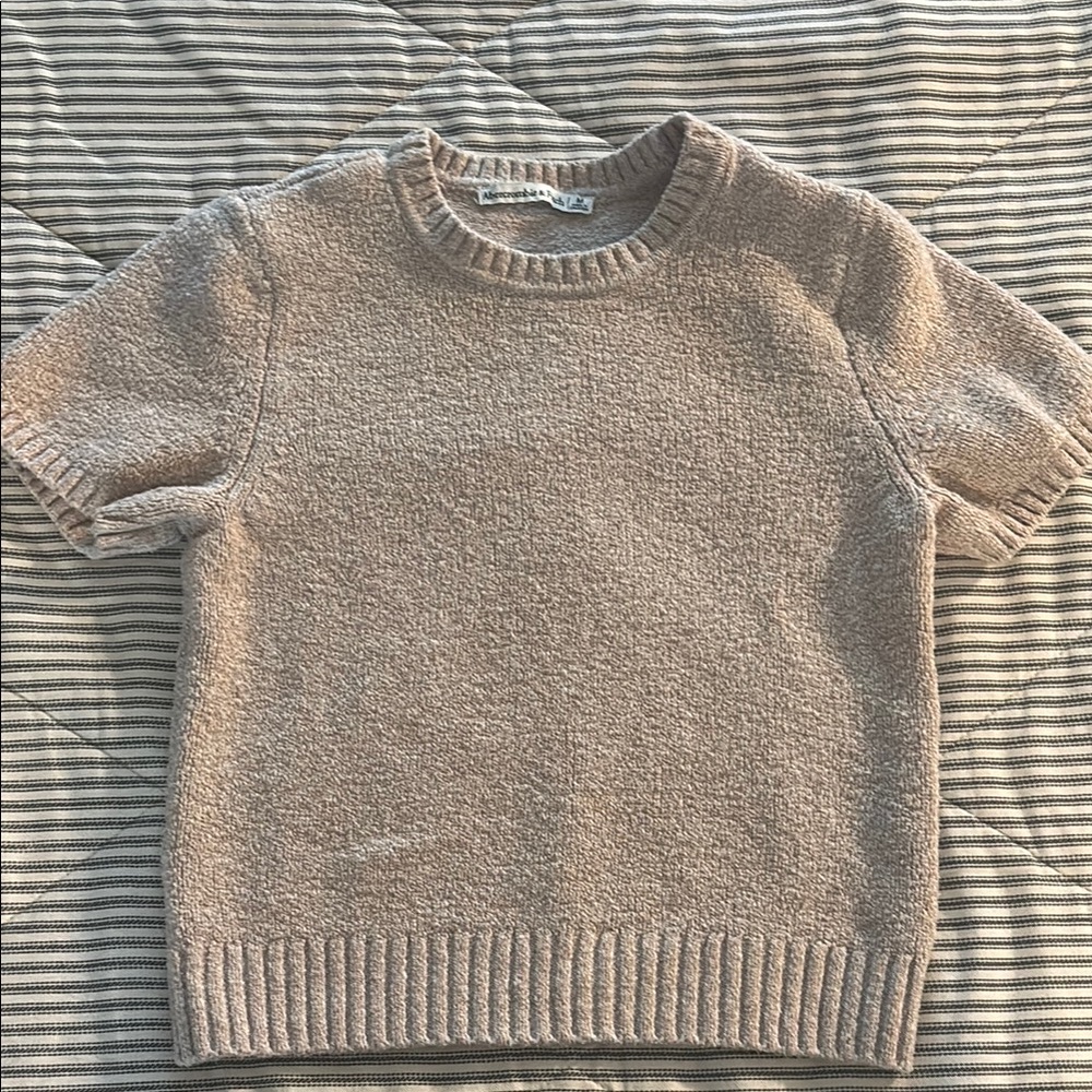 Cozy Beige Short Sleeve Sweater